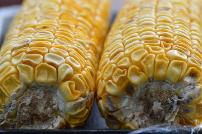 Close-up of corn