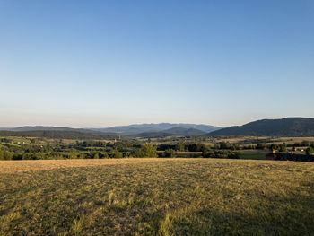 Scenic view of field against clear sky