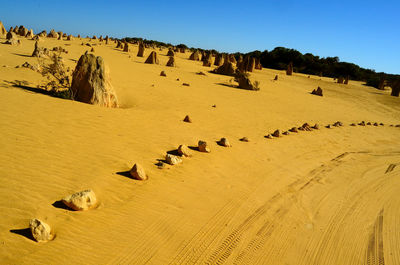 Pinnacles desert in nambung national park.