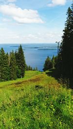 Scenic view of green landscape and sea against sky