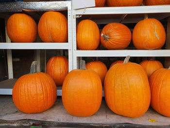 Medium size and big orange halloween pumpkins on shelves in store