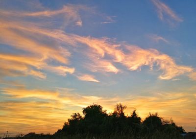 Low angle view of silhouette trees against sky at sunset