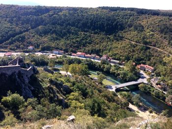 High angle view of trees and plants