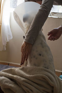 A small dog is comforted by a woman after being subjected to a surgical operation.