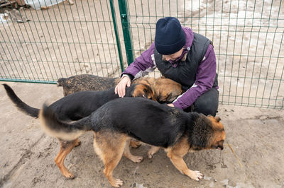 Girl volunteer in the nursery for dogs. shelter for stray dogs.