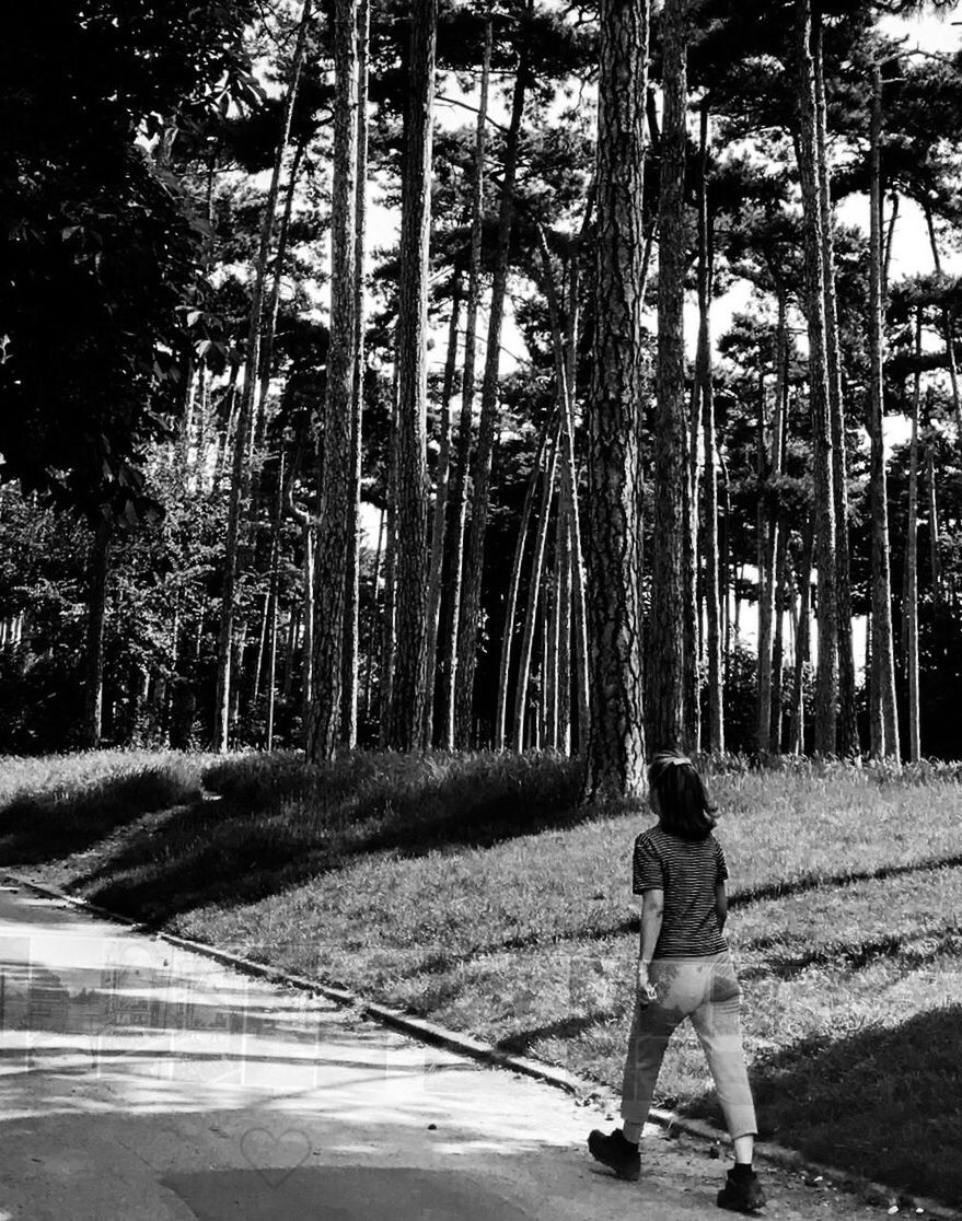 FULL LENGTH REAR VIEW OF A MAN WALKING IN FOREST