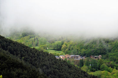 Scenic view of trees and buildings against sky