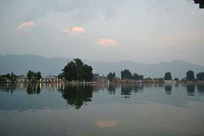 Reflection of trees in calm lake