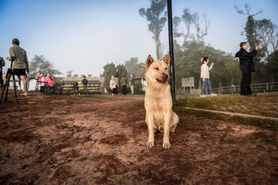 People with dog at park