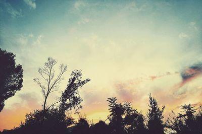 Low angle view of silhouette trees against sky