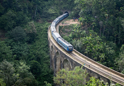 Train on bridge amidst trees in forest