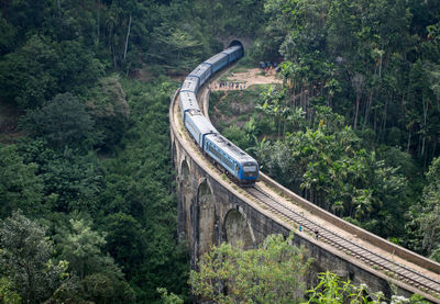 Tilt image of bridge amidst trees in forest