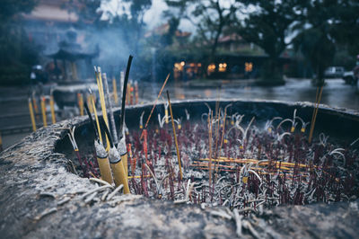 Close-up of incense sticks