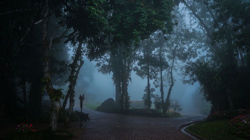Trees on landscape against sky