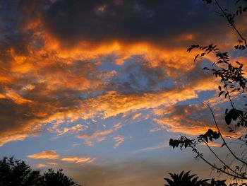 Low angle view of silhouette trees against dramatic sky