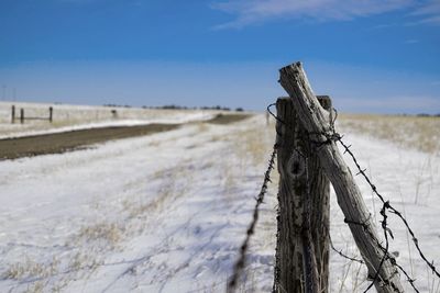 Parallel to dirt road, barbed wire fence of pasture