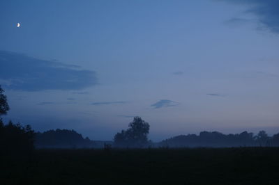 Silhouette trees on field against sky at sunset