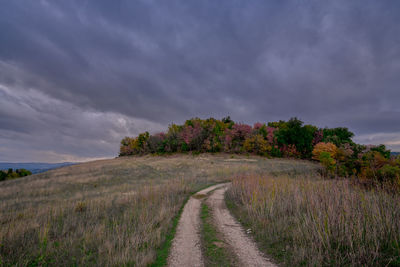 Road amidst field against sky