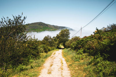 Road amidst plants and trees against sky