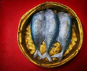 Directly above shot of fish on plate