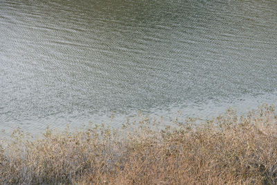 High angle view of rippled water on beach