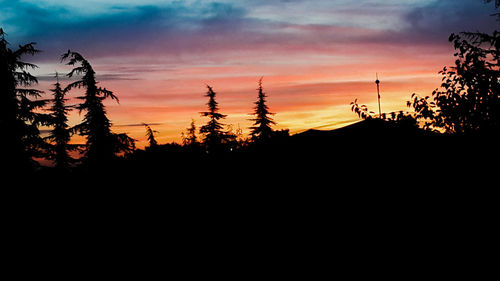 Silhouette of trees at sunset