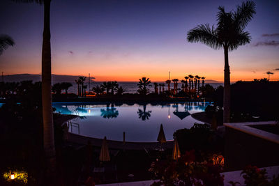 Silhouette palm trees by swimming pool during sunset