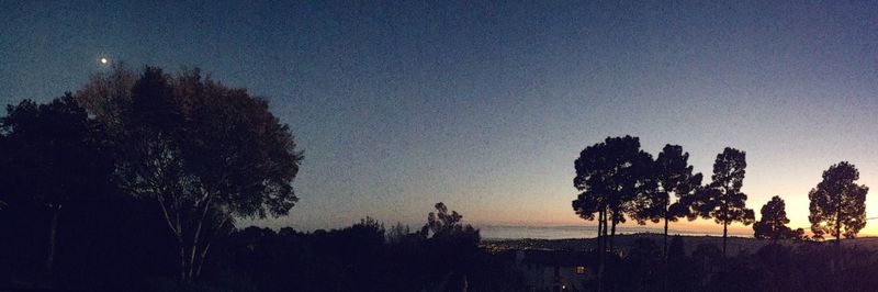 Silhouette trees in front of built structure against clear sky