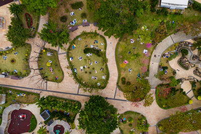 High angle view of plants in park