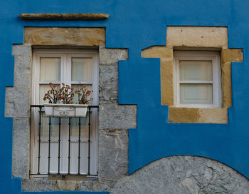 Potted plant on window of building