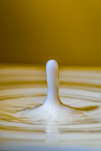 Close-up of water drops on surface