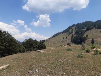 Panoramic shot of trees on field against sky