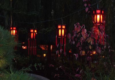 Illuminated christmas tree at night