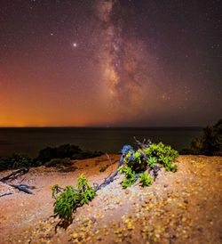 Scenic view of sea against sky at night