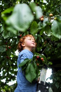 Low angle view of girl on tree