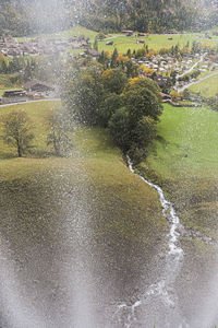 High angle view of wet trees in city