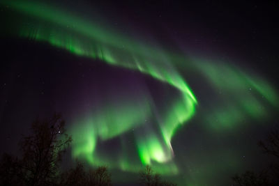 Low angle view of aurora polaris at night