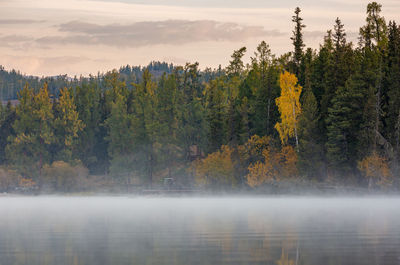 Scenic view of lake in forest during autumn