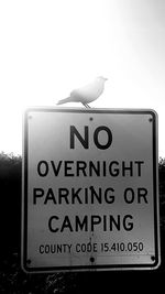 Close-up of bird perching on sign