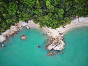 High angle view of surf on shore