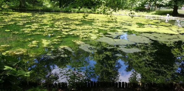 Scenic view of lake