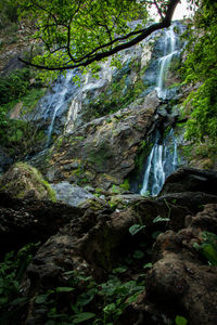 Waterfall in forest