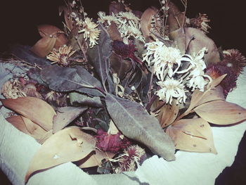 Close-up of flowers