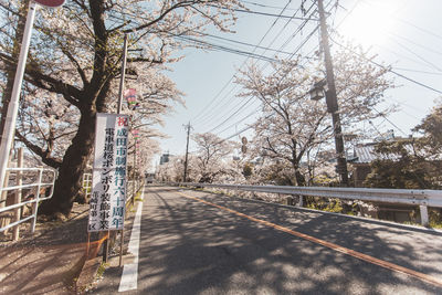 Road amidst trees against sky in city