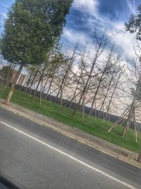 Road by trees against sky