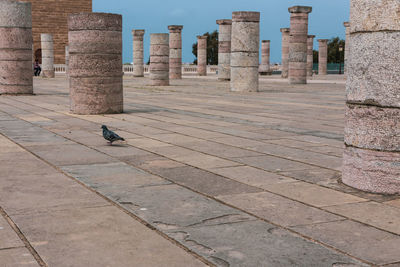 View of a bird of a building