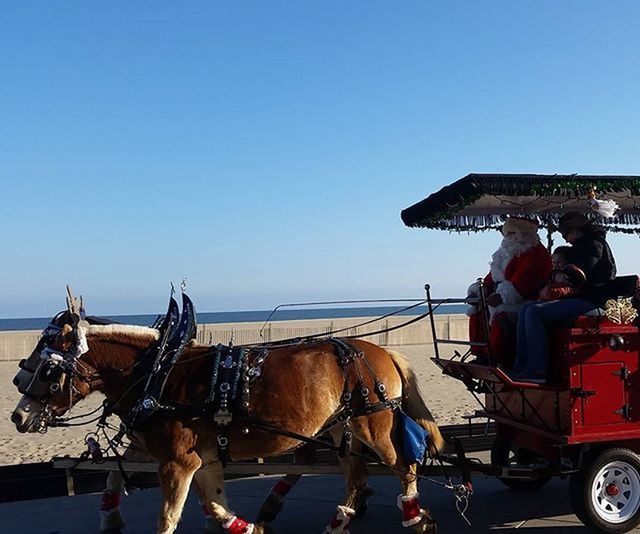 clear sky, men, transportation, mode of transport, lifestyles, beach, leisure activity, domestic animals, working animal, copy space, horse, land vehicle, sea, person, mammal, sand, sky, animal themes, nautical vessel