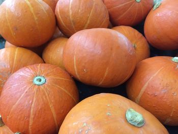 Full frame shot of pumpkins at market