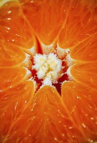 Full frame shot of orange fruit