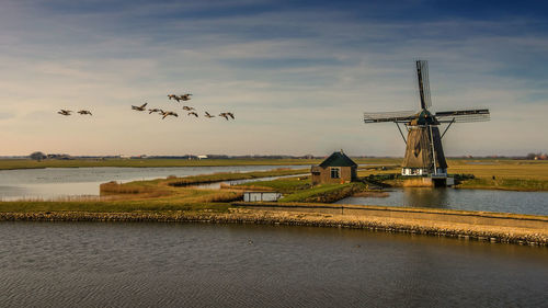 Flock of birds in water against sky